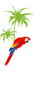 http://pressreleaseheadlines.com/wp-content/Cimy_User_Extra_Fields/Virgin Rainforest Rescue/logo-1.png